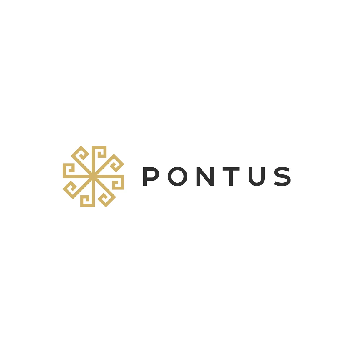 Pontus Development Pontus Development